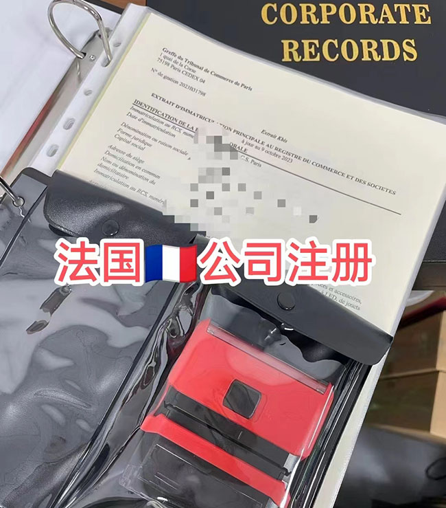 法國(guó)公司注冊(cè)證書樣本